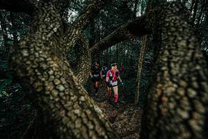 BIB: 
                            <button type="button" onclick="openModal(25681716)" class="btn btn-primary btn-sm float-right btn-popup" data-toggle="modal" data-target=".modal-high-quality">
                        <i class="fas fa-shopping-cart"></i> Add to Cart
                    </button>
                                            <button type="button" onclick="isThisMe(25681716, true)" class="btn btn-success btn-sm float-right btn-popup btn-isme hidden" data-toggle="tooltip" data-placement="bottom" title="นี่คือรูปของคุณใช่ไหม คลิกที่นี่เพื่อเอาเข้าอัลบั้ม">
                        <i class="fas fa-plus"></i> Add to album
                    </button>
                    <button type="button" onclick="isThisMe(25681716, false)" class="btn btn-warning btn-sm float-right btn-popup btn-isnotme hidden">
                        <i class="fas fa-ban"></i> Remove from album
                    </button>